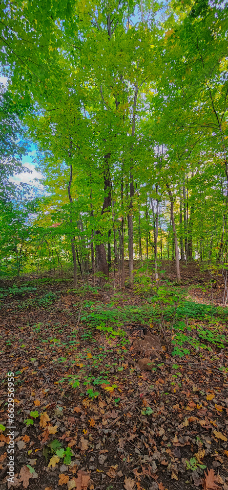 Beautiful  fall colors in the Canadian countryside at fall in the province of Quebec