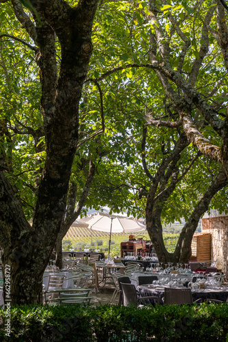 restauracja w ogrodzie nieopodal winnicy. Pięknie zastawione stoły czekające na gości photo