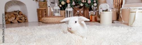 Christmas concept. white rabbit on the white carpet near Christmas tree in a home interior. Symbol of the year 2023. Close-up. Chinese New year.