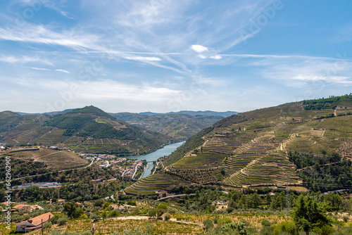 liczne winnice na stokach okalających koryto rzeki Duoro w Portugalii