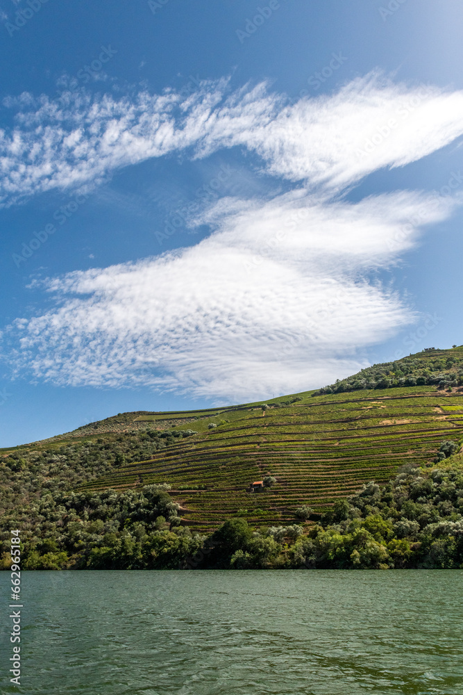 tarasy winnic uprawiających winorośl do produkcji doskonałego porto. Rzeka Duoro, Portugalia - obrazy, fototapety, plakaty 