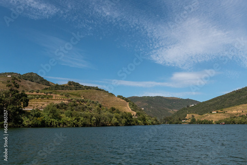 dolina rzeki w Portugali porośnięta winnicami