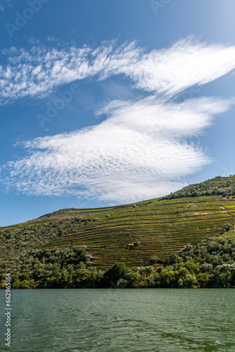 tarasy winnic uprawiających winorośl do produkcji doskonałego porto. Rzeka Duoro, Portugalia