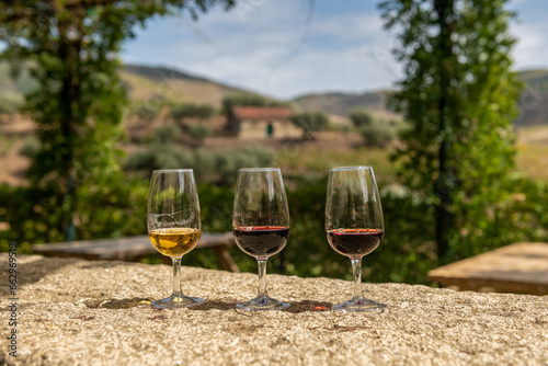 zestaw degustacyjny 3 roczników wina Porto. w tle winnicą w której produkuje się te doskonałe wina
