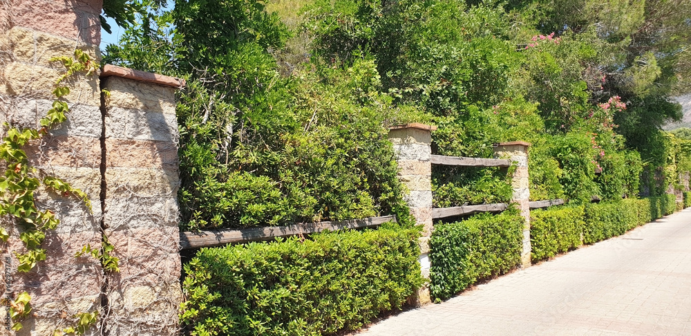 Panorama of decoration of the entrance with stone columns and a green fence in the form of photinia bushes. Panorama of decoration of the entrance with stone columns and a green fence in the form of photinia bushes.