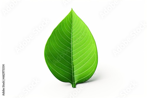 Good Luck Charm Packaging  Minimalist Green Shamrock Leaf Design  generative AI