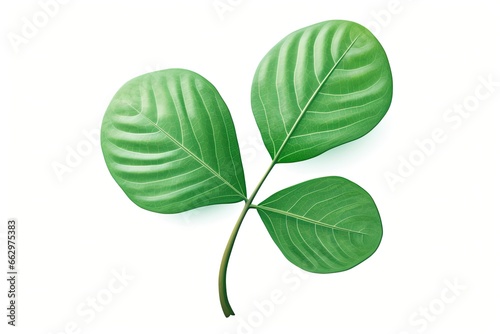 Shamrock Leaf Packaging  Minimalist Green Design for Good Luck Charm - SEO Friendly Image  generative AI