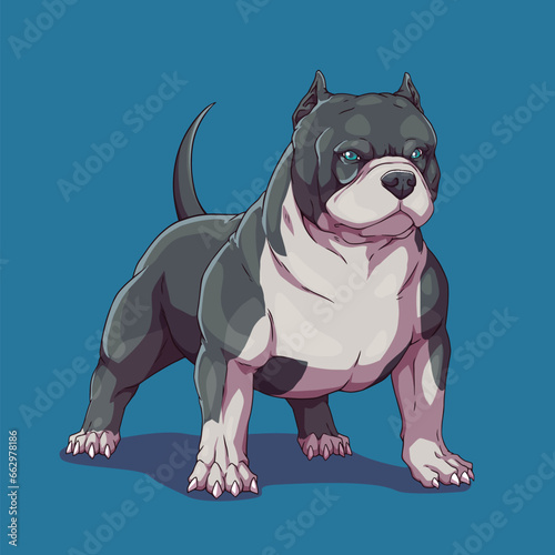 Dog american bully pitbull	
