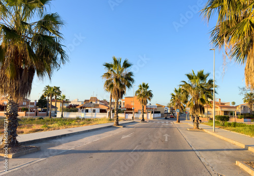 Road with palm trees on the side. Palm trees in an empty road in suburb. Asphalt road and palm tree in the morning at dawn in Almarda, Casablanca, Spain.
