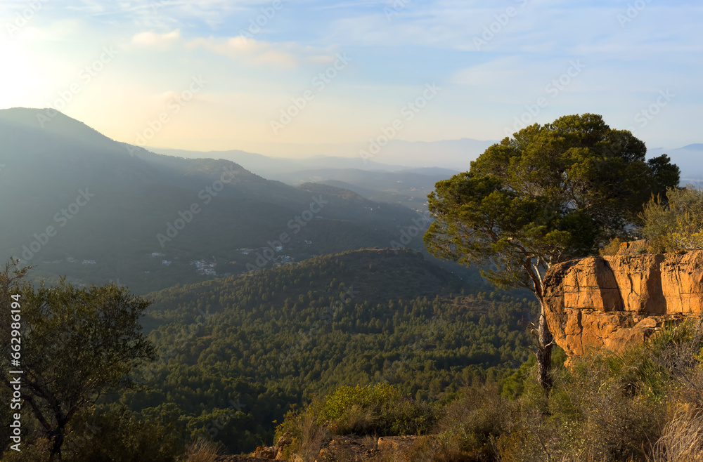 Mountains landscape, nature scenery. Green trees and huge cobblestones