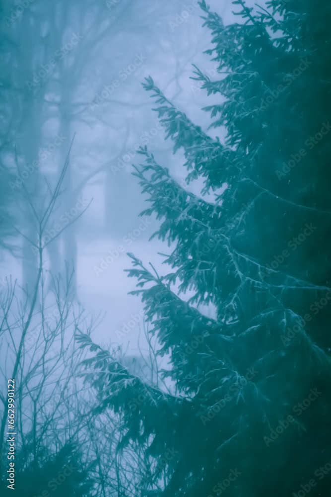 Snowy winter background with trees. Wintertime nature details. Snowy winter background with trees. Wintertime nature details.