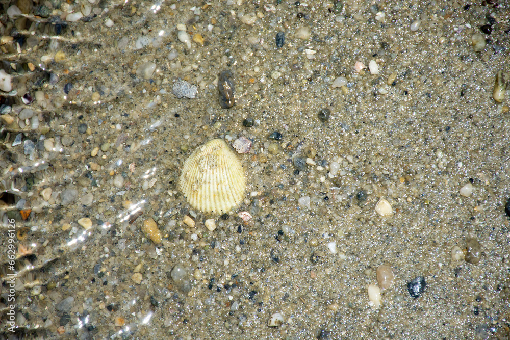 Barra Grande - Piauí, beach