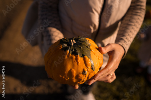 orange and green pumpkin in the woman hands