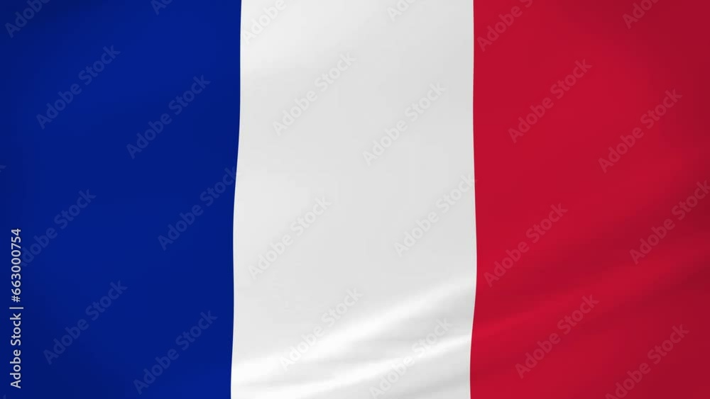 France Waving Flag Realistic Animation Video France Waving Flag Realistic Animation Video