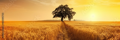 Golden wheat flying panorama with tree at sunset countyside photo