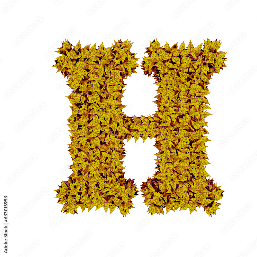 Symbol from yellow leaves. letter h Symbol from yellow leaves. letter h