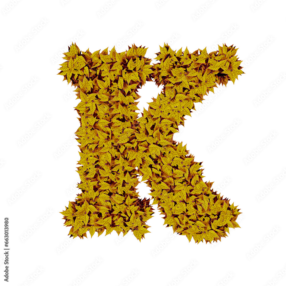Obraz premium Symbol from yellow leaves. letter k