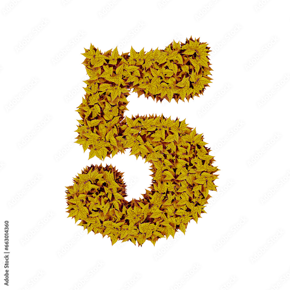 Symbol from yellow leaves. number 5
