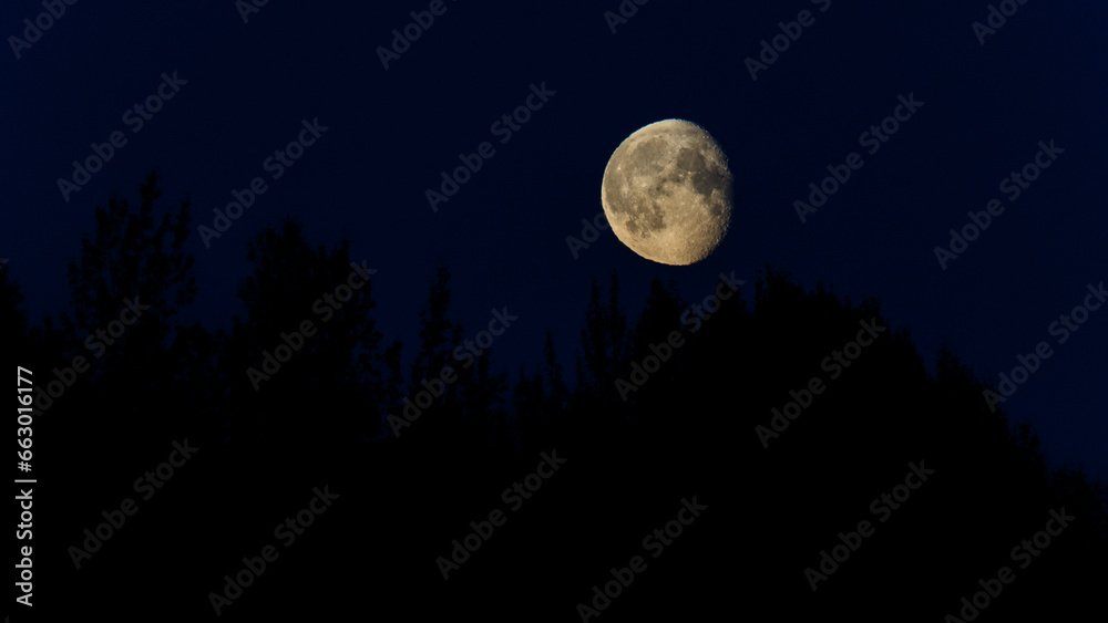 Cool White Balanced Moon Rising over Fairbanks , Alaska