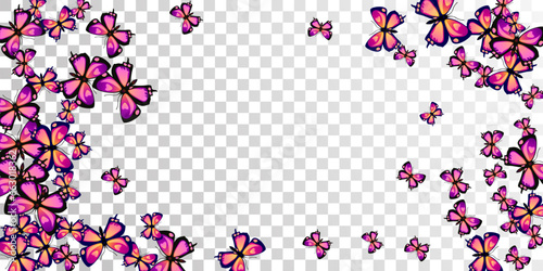 Tropical purple butterflies isolated vector wallpaper. Summer pretty moths. F...