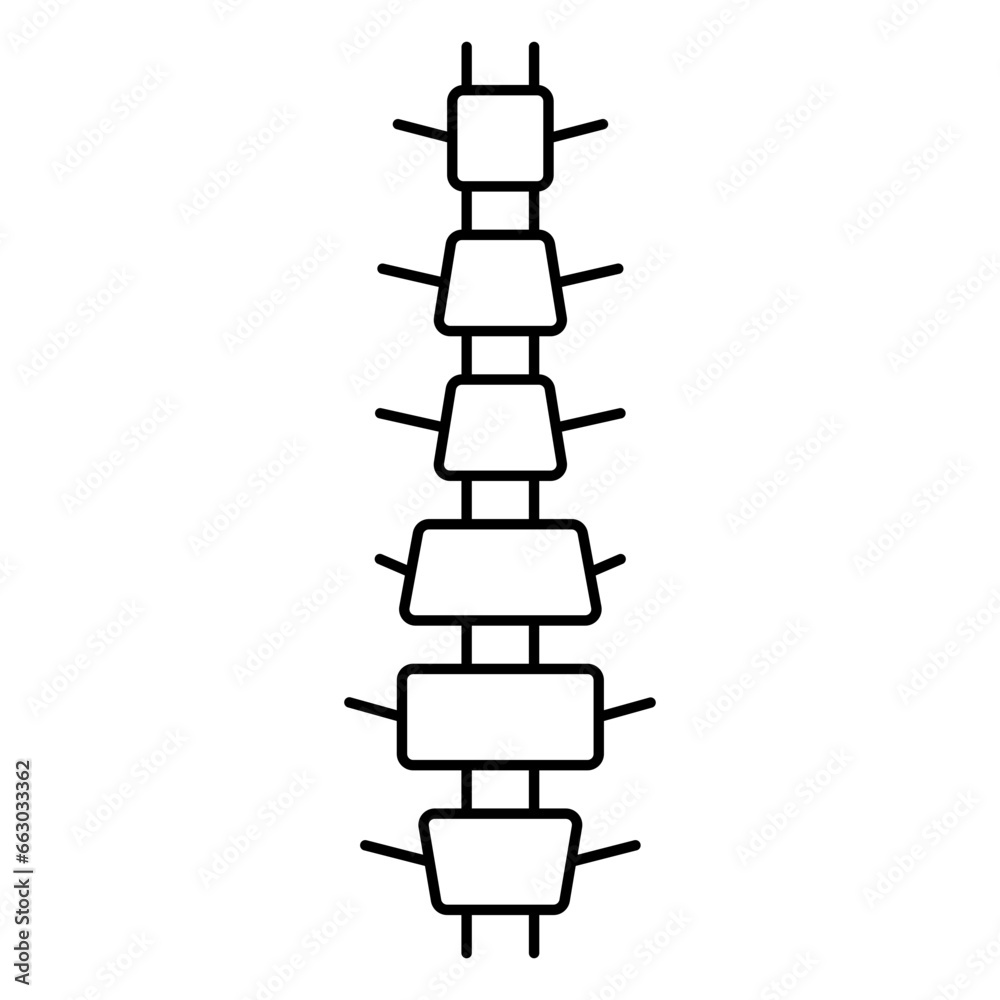 Spinal cord, spinal, orthopedic, spine, healthy Spinal cord, spinal, orthopedic, spine, healthy