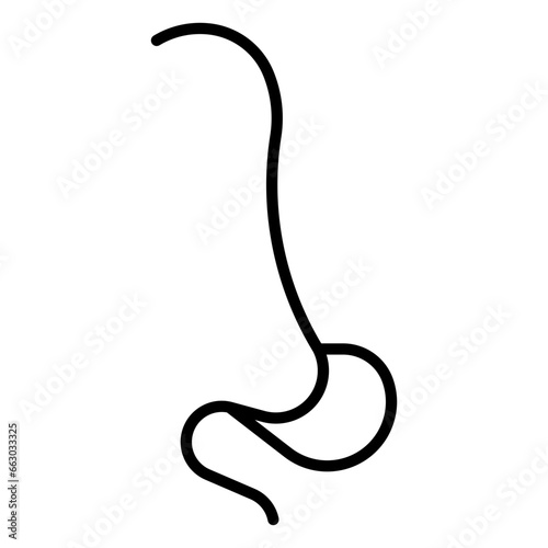 Esophagus, anatomy, healthy, body, medical