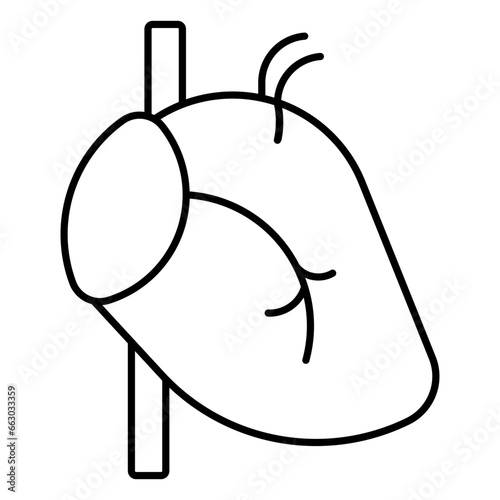 Vein, artery, heart, anatomy, healthy
