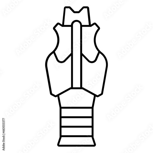 Windpipe, anatomy, neck, organ, trachea