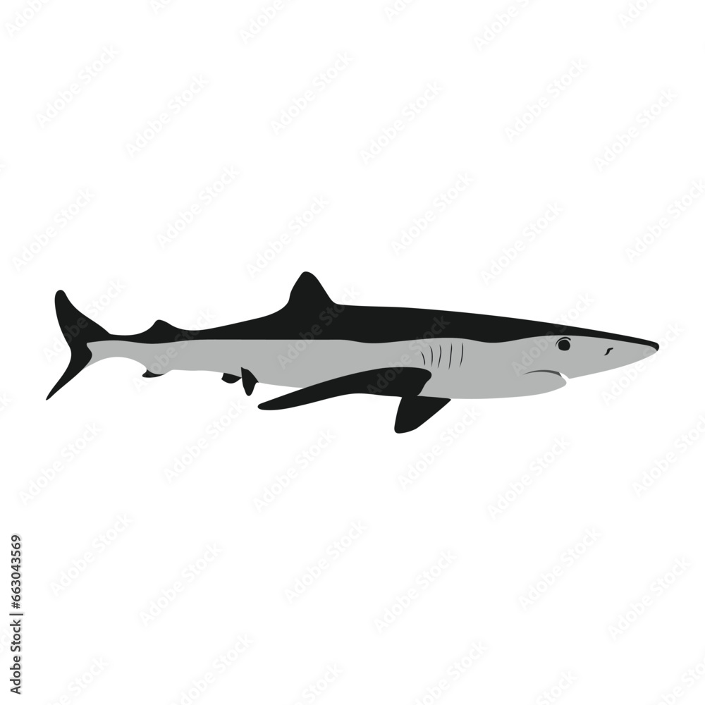 shark icon vector