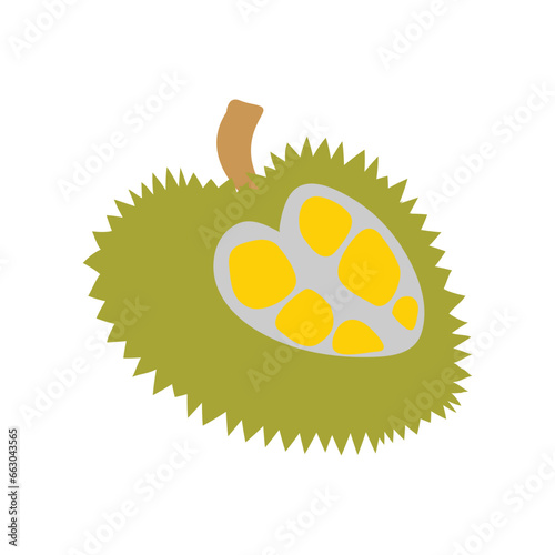 durian fruit icon vector