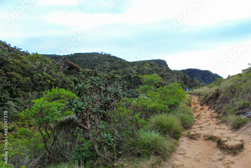 Beautiful view of The Horton Plains. The path through the park, Sri Lanka