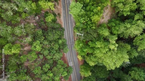 Aerial shot of Redwood Trees country road, Moraga, Canyon, East Bay Area Northern California