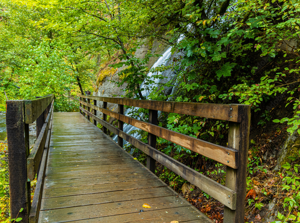 Wooden Bridge at Munra Falls on The Wahclella Falls Trail, Columbia River Gorge, Oregon, USA