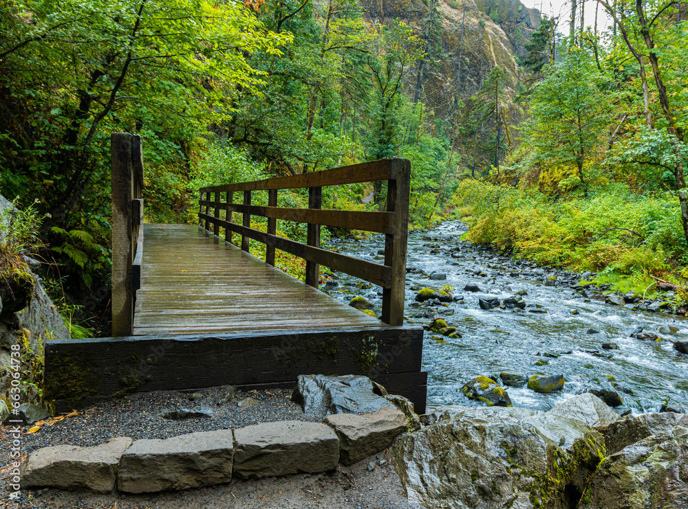 Wooden Bridge Beside Tanner Creek on The Wahclella Falls Trail, Columbia River Gorge, Oregon, USA Wooden Bridge Beside Tanner Creek on The Wahclella Falls Trail, Columbia River Gorge, Oregon, USA