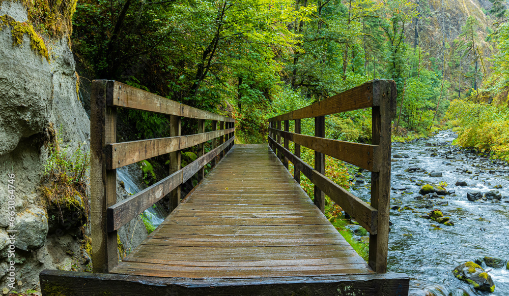 Wooden Bridge Beside Tanner Creek on The Wahclella Falls Trail, Columbia River Gorge, Oregon, USA Wooden Bridge Beside Tanner Creek on The Wahclella Falls Trail, Columbia River Gorge, Oregon, USA