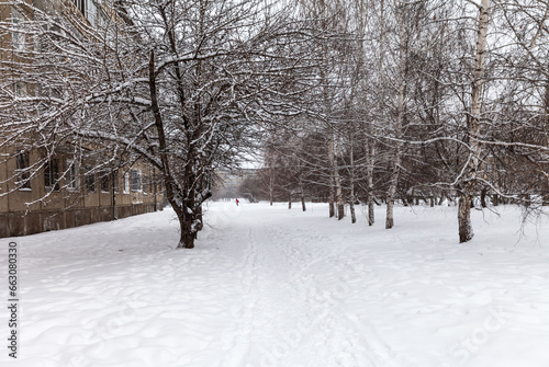 Winter cityscape with a snow-covered path along an alley with snowy trees on a cold day © Katvic