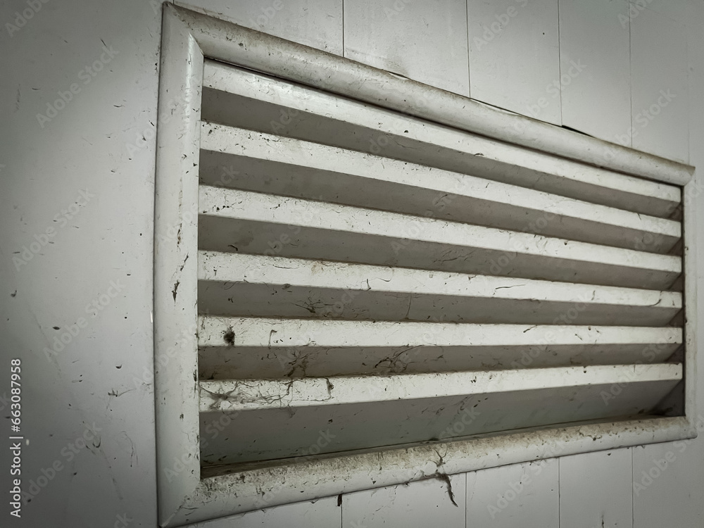 Obraz premium window with shutters