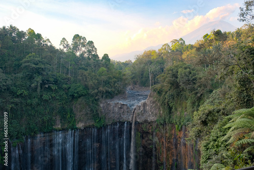 Where Adventure Begins: Tumpak Sewu's Forest Trail