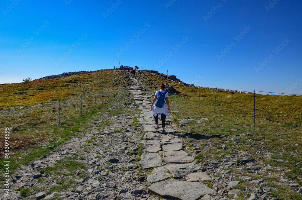 hiker in the mountains