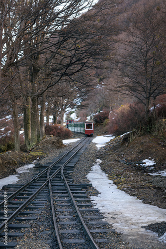 Pequeño ferrocarril en medio del bosque nevado. Tren del fin del mundo de trocha angosta. 