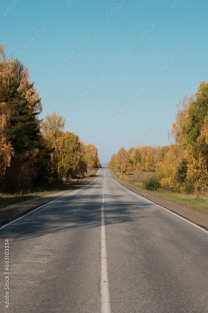 road in autumn road in autumn