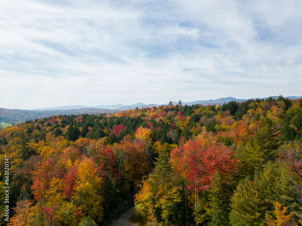 Colorful trees during the fall in Vermont