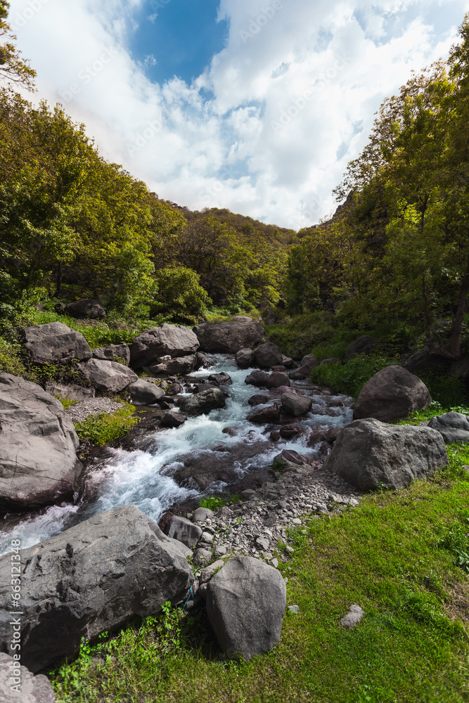 Obraz premium Streaming water spring within the Atlas Mountains of Morocco
