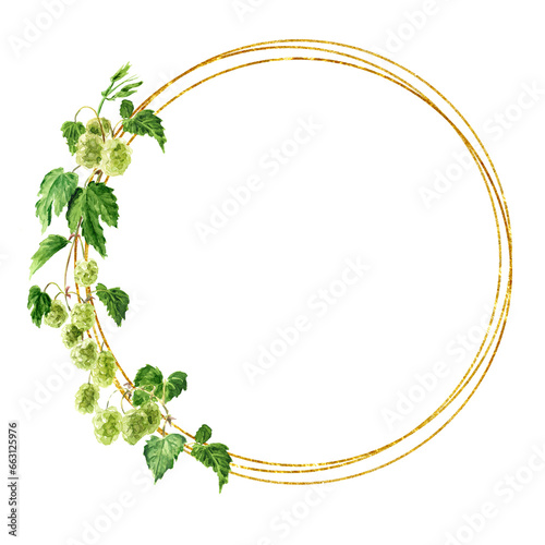 Fresh green hops (Humulus lupulus) branch round frame. Hand drawn watercolor illustration isolated on white background