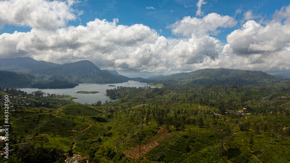 Fototapeta premium A lake in a mountainous area among tea plantations. Maskeliya, Castlereigh, Sri Lanka.