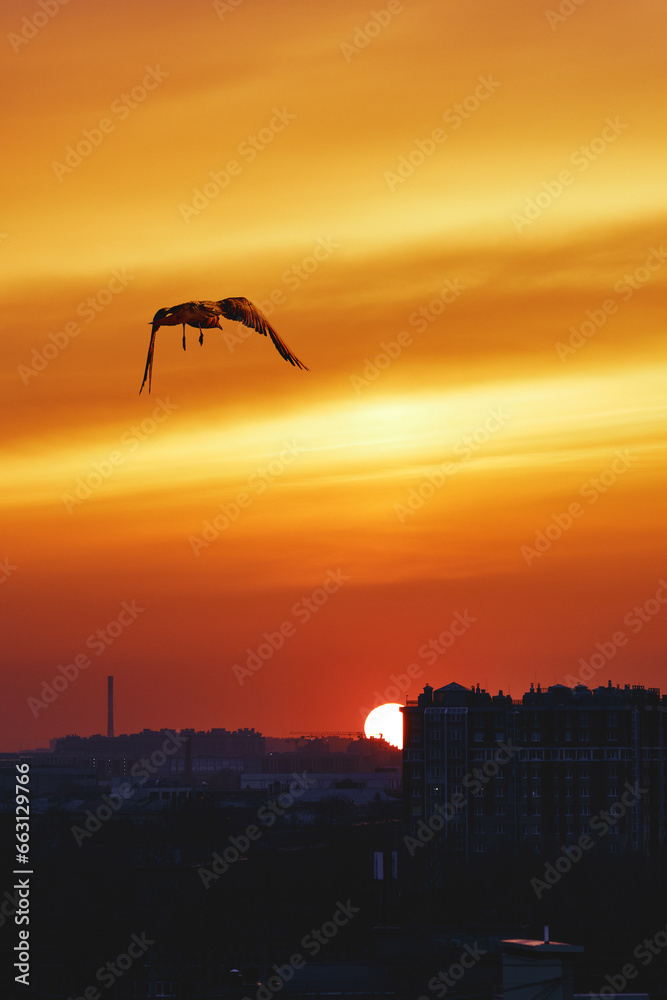The sun hides behind the silhouettes of houses. Beautiful sunset, the city plunges into darkness. The sun hides behind the silhouettes of houses. Beautiful sunset, the city plunges into darkness.