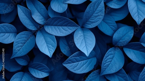 blue plant leaves in the nature in fall season, blue background © ra0