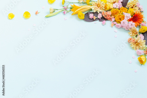  beautiful summer flowers on green background