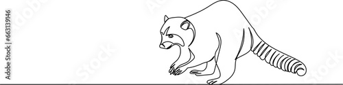 raccoon line drawing on a white background isolated vector
