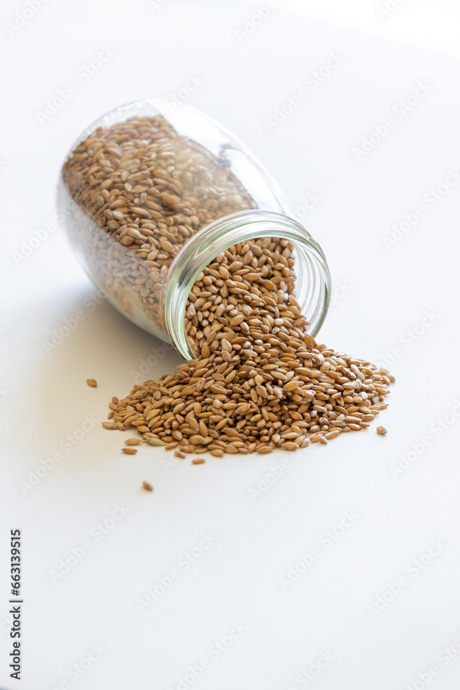 Spelt grains neatly stored in a glass jar against a clean white background, illustrating food storage Spelt grains neatly stored in a glass jar against a clean white background, illustrating food storage